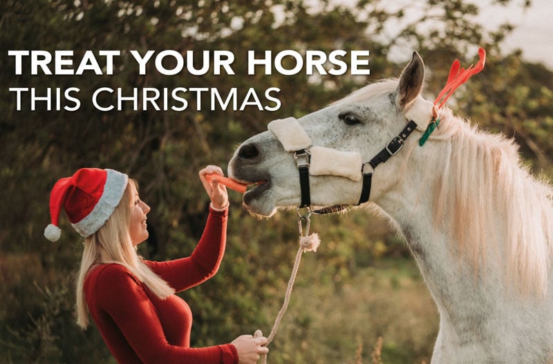 How to Treat Your Horse This Christmas